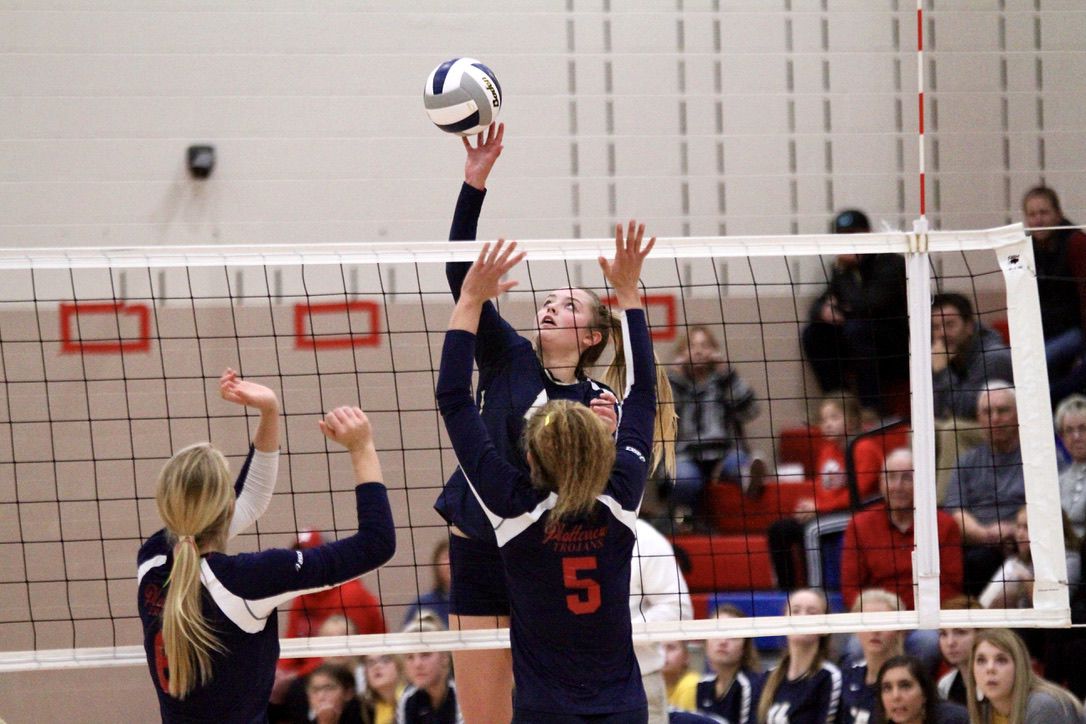 York vs. Platteview volleyball 27.jpeg